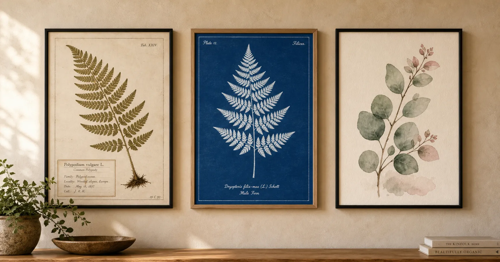 Three framed botanical art posters in different styles, a herbarium fern plate, a cyanotype blueprint, and a loose watercolor sprig, hung in a row on a warm wall as finished wall art.