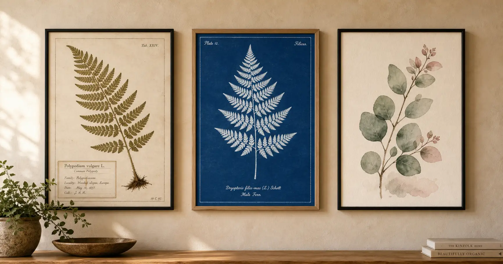 Three framed botanical art posters in different styles, a herbarium fern plate, a cyanotype blueprint, and a loose watercolor sprig, hung in a row on a warm wall as finished wall art.