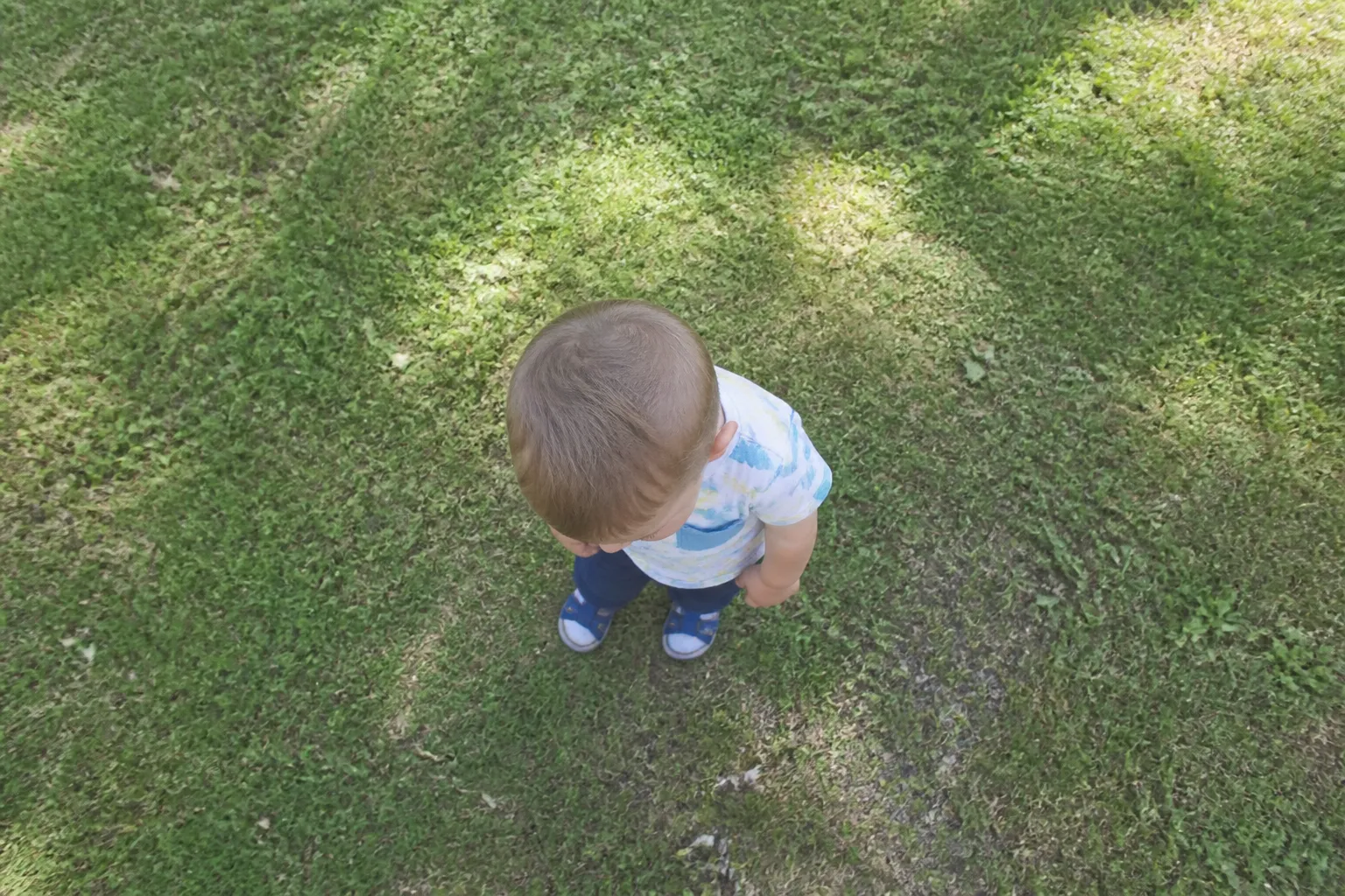 A toddler photographed from an adult's standing height looking down, showing mostly the top of the child's head and a foreshortened body against the grass.
