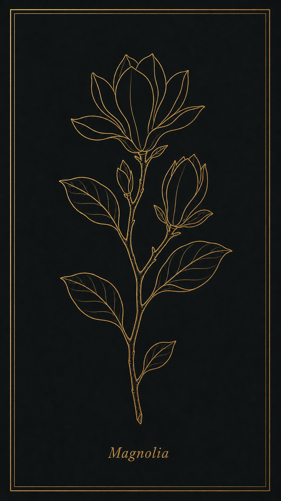 A gold-line botanical print of a single magnolia branch drawn in fine metallic-gold contour lines on a deep charcoal ground, centered with a gold serif-italic Latin-name label, titled Magnolia.